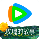阴阳师女装鬼切